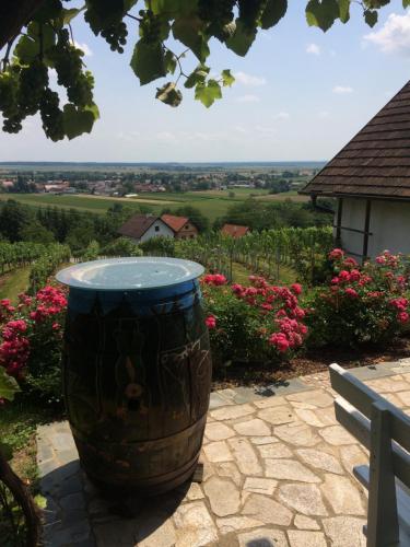 Jardín al aire libre en Kellerstöckl Am Weinberg 140 Gaas