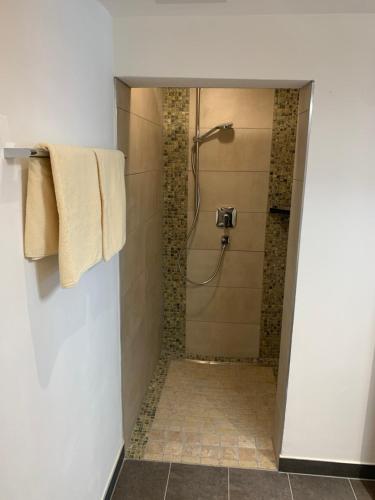 a bathroom with a shower with a towel on a wall at Appartements Wolfgang Auderer in Jerzens