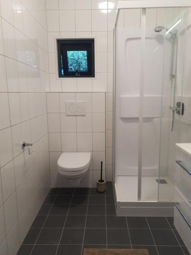 e bagno con servizi igienici, doccia e finestra. di Modern Tiny House op rustig Watersportpark a Elahuizen
