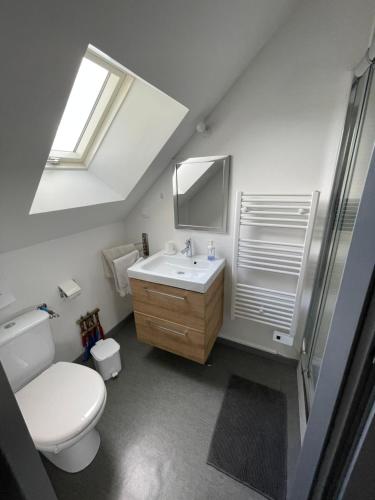 a bathroom with a white toilet and a sink at Gîte dans le vignoble de Bourgueil in Le Port Boulet