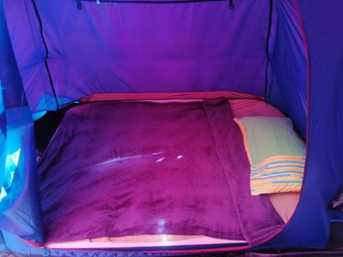 Tempat tidur dalam kamar di Camping Volme