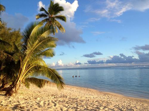 a palm tree on a beach with the ocean at Pae Moana, Rarotonga in Rarotonga