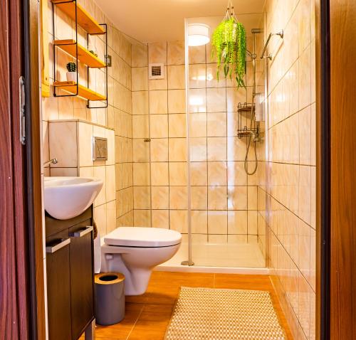 a bathroom with a toilet and a sink and a shower at Domek InoSasino z basenem i sauną in Sasino