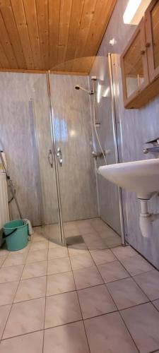 a bathroom with a shower and a sink at Hytte ved Gaularfjellet in Viksdalen
