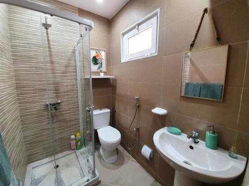 a bathroom with a shower and a toilet and a sink at kelly's House Plateau City Center in Praia