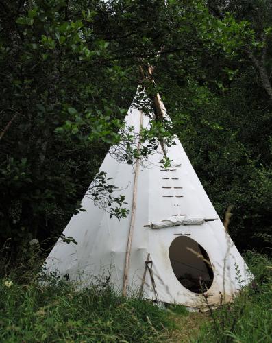 a white tent sitting in a field with trees at Aldridge Mill in Oakford