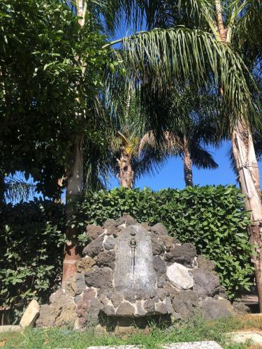 Κήπος έξω από το B&B Green Oasis