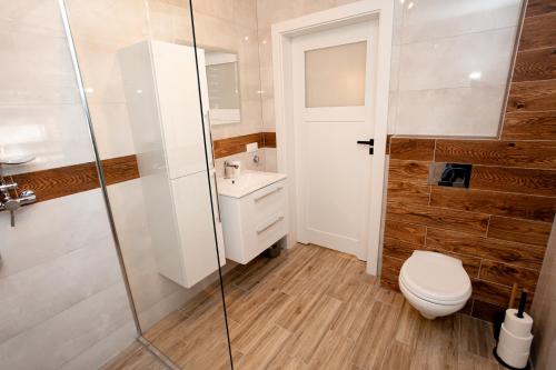 een badkamer met een toilet, een wastafel en een douche bij Pasymianka House in Pasym