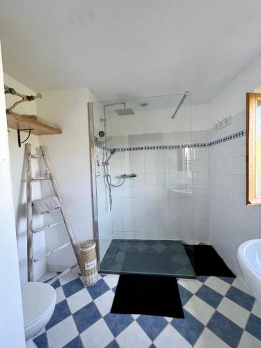a bathroom with a shower and a toilet and a sink at Le petit chalus in Forcalquier