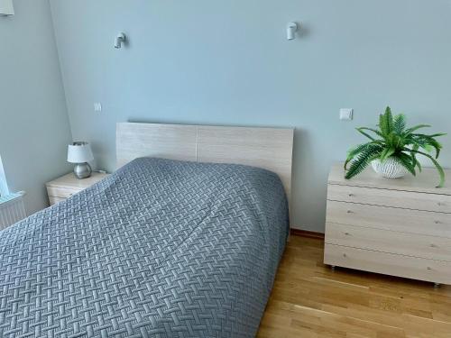 a bedroom with a bed and two dressers and a plant at Küüni Guest Apartment in Tartu