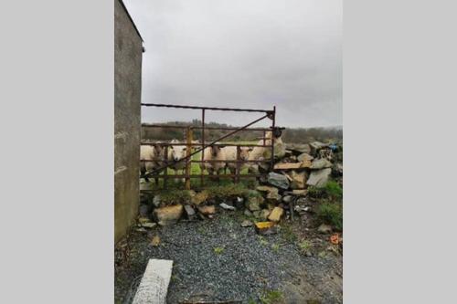 Fotografie z fotogalerie ubytování Red Gate Cottage v destinaci Buncrana