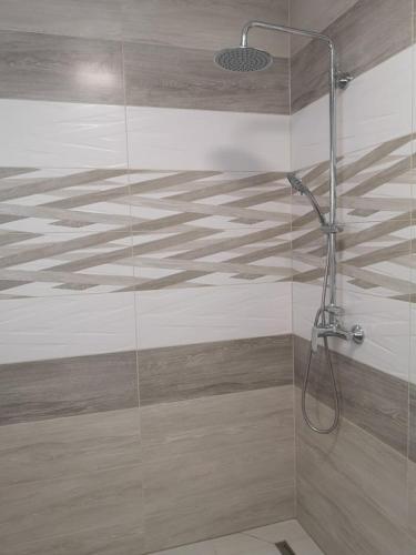 a bathroom with a shower with a glass wall at Relax Beach Apartman in Hajdúszoboszló