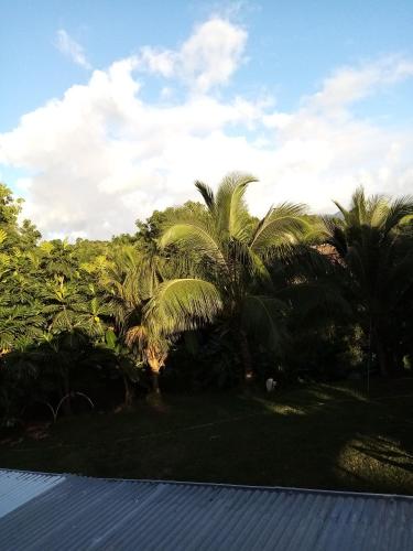 a view from the roof of a house with palm trees at logement aux saveurs des mangues juli in Baillif