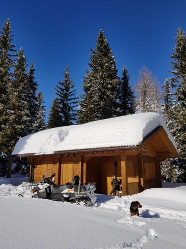 a snow covered cabin with a dog sitting in the snow at Haus Egger in Kartitsch
