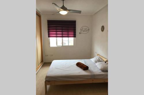 a bedroom with a bed with a ceiling fan at Casa, sol y playa 365 días!! in San Juan de los Terreros