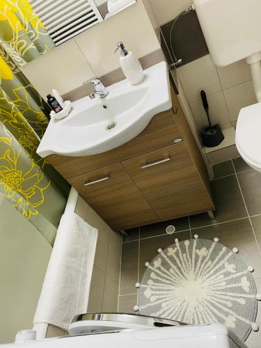 a bathroom with a sink and a toilet at SELLADA APARTAMENT - Free Private Parking,AC,Wi-Fi in Carei