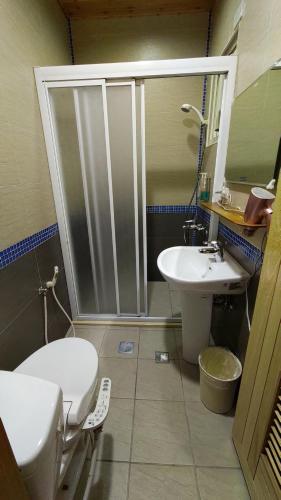 Kúpeľňa v ubytovaní 鄉間雅築休閒民宿Country Villa Homestay