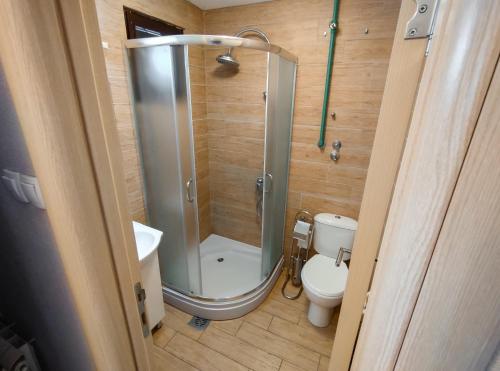 a bathroom with a shower and a toilet at Hotel Marina OASA in Grocka