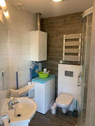 a bathroom with a sink and a toilet at Apartament Bosmanski in Darlowko