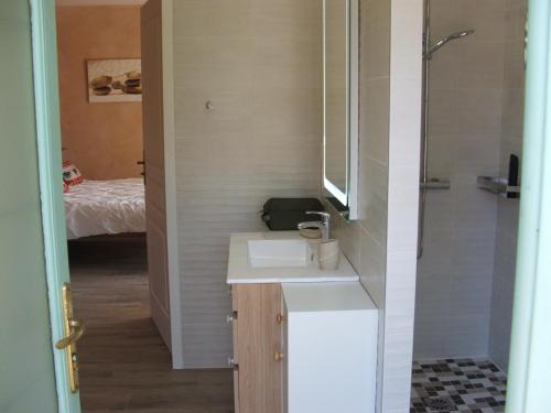 a bathroom with a sink and a shower at La Zénitude in Les Lèches
