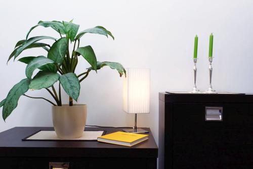eine Pflanze in einem Topf auf einem Schreibtisch mit einer Lampe in der Unterkunft Neukölln Central Rixdorf in Berlin