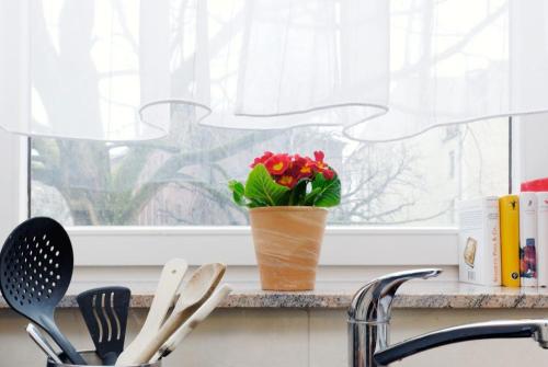 a vase of flowers sitting on a window sill at Neukölln Central Rixdorf in Berlin