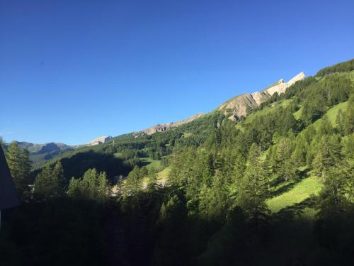 une vue d'une montagne avec des arbres dessus dans l'établissement Studio montagne, à Allos