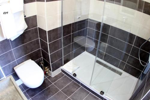 a bathroom with a toilet and a glass shower at Hotel de la Basilique in Paray-le-Monial