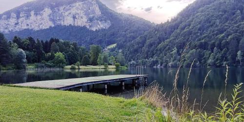 a dock in the middle of a lake with a mountain at Seehaus Kärnten in Saager