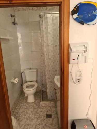 a bathroom with a toilet and a shower at Abeas Samos Antonis 3 in Samos