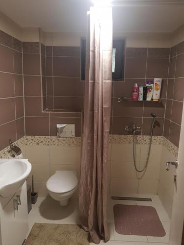 a bathroom with a toilet and a shower and a sink at Botanica Zlatibor in Zlatibor