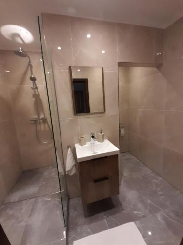 y baño con lavabo y ducha. en Private Apartment Rozvadov en Rozvadov