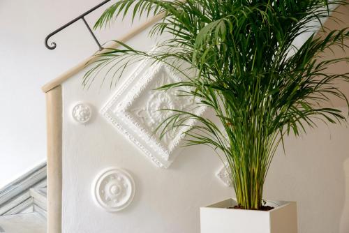 a plant in a white pot on a wall at Hotel San Francesco e il lupo in Gubbio