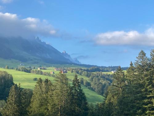 a view of a valley with trees and a mountain at Ferienwohnung Haus am Bach in Toggenburg in Wildhaus
