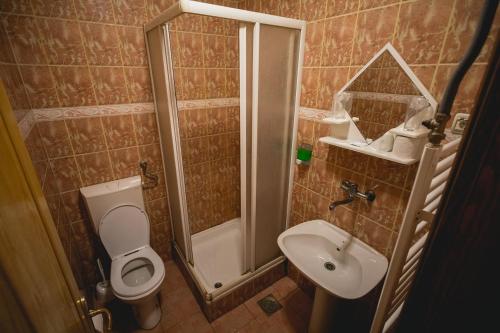 Salle de bains dans l'établissement Pool and Villa Splav Dunavac