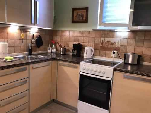 a kitchen with a stove and a sink at Spacious 1bdrm apartment near metro. Free parking in Vantaa
