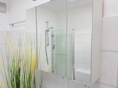 a shower stall with a glass door in a bathroom at Eckernförde Baltic Beach in Eckernförde