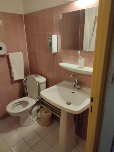 La salle de bains est pourvue de toilettes et d'un lavabo. dans l'établissement Hotel du Commerce et de Navarre, à Lourdes