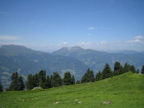 a green hill with trees and mountains in the background at Apart Alpensonne in Zellberg