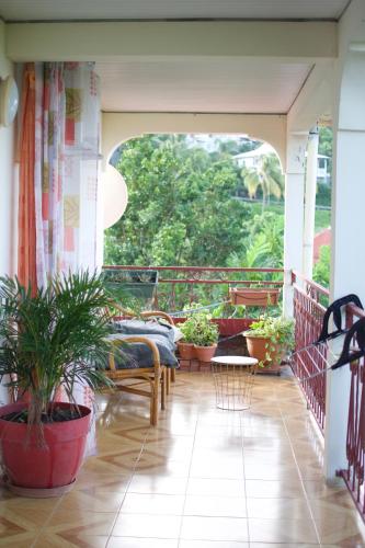 a porch with potted plants and a table on a balcony at The Kapokier in Saint-Pierre
