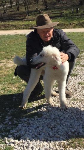 a man in a hat holding a white lamb at Apartment Red House in Visoko