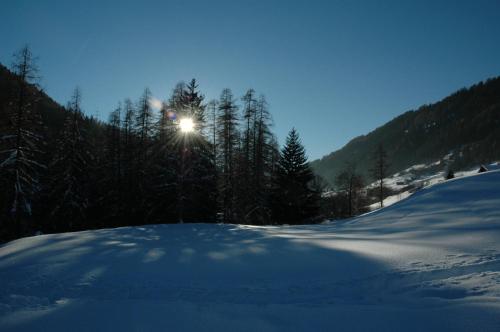 a snow covered slope with the sun shining on trees at Hotel-Restaurant Drei Tannen in Niederwald