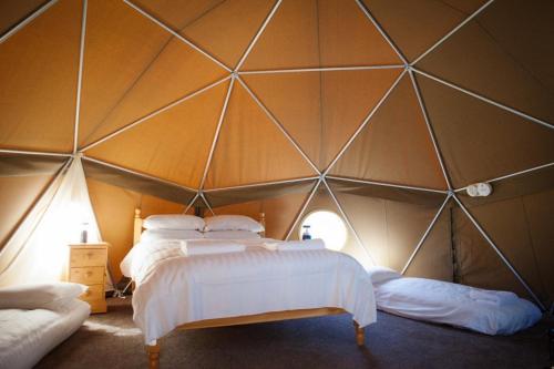 a room with two beds in a tent at Durrell Wildlife Camp in Trinity