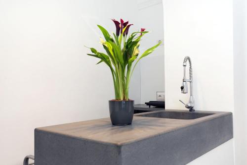uma planta em vasos sentada em cima de um lavatório de cozinha em Houspitality Nero Bed & Breakfast em Roma