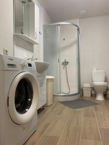 uma casa de banho com uma máquina de lavar roupa e um chuveiro em Соколине Гніздо em Dmitrenki