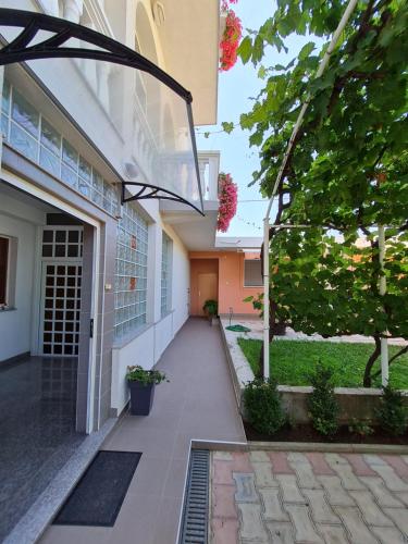 Gallery image of Guest House Barba in Bibinje