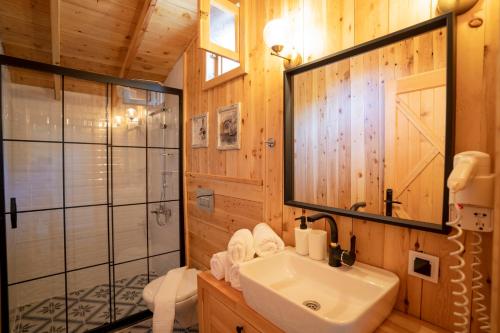 a bathroom with a shower and a sink and a mirror at Dedemuem Adrasan in Kumluca