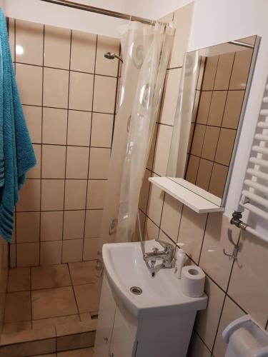 a small bathroom with a sink and a shower at Hompot Accommodation in Deva
