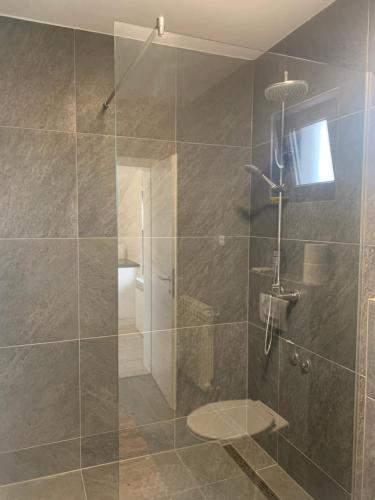 a bathroom with a glass shower with a toilet at Filipovic rent a car & apartments in Selnica Šćitarjevska