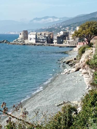 a rocky shoreline with buildings and the ocean at Casa Luciani in Erbalunga